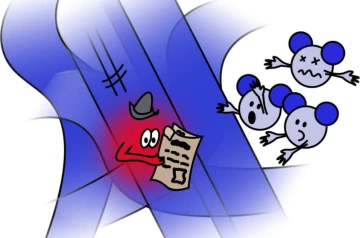 Electrolyte Immersion Increases Photoconductivity in a Model Polymer Photocathode